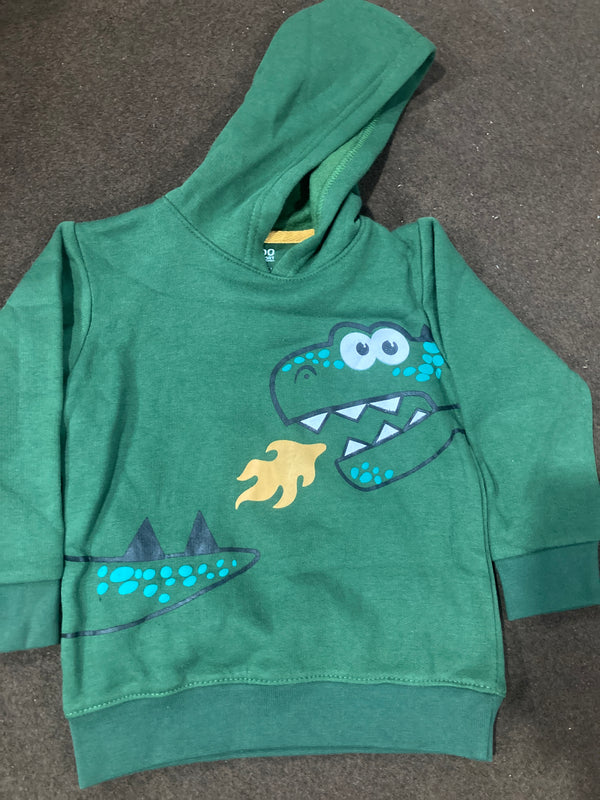 Dino Flame Green Hoodie