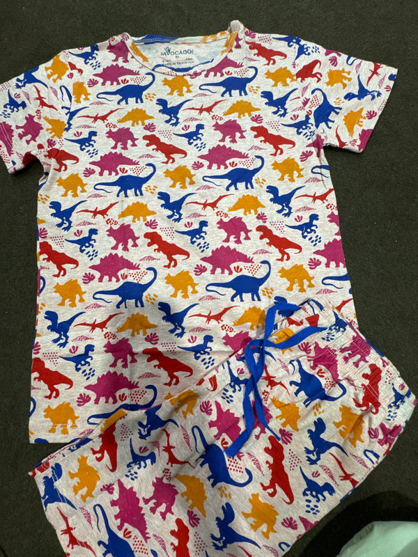 Colorful Dinosaurs Shirt & Short