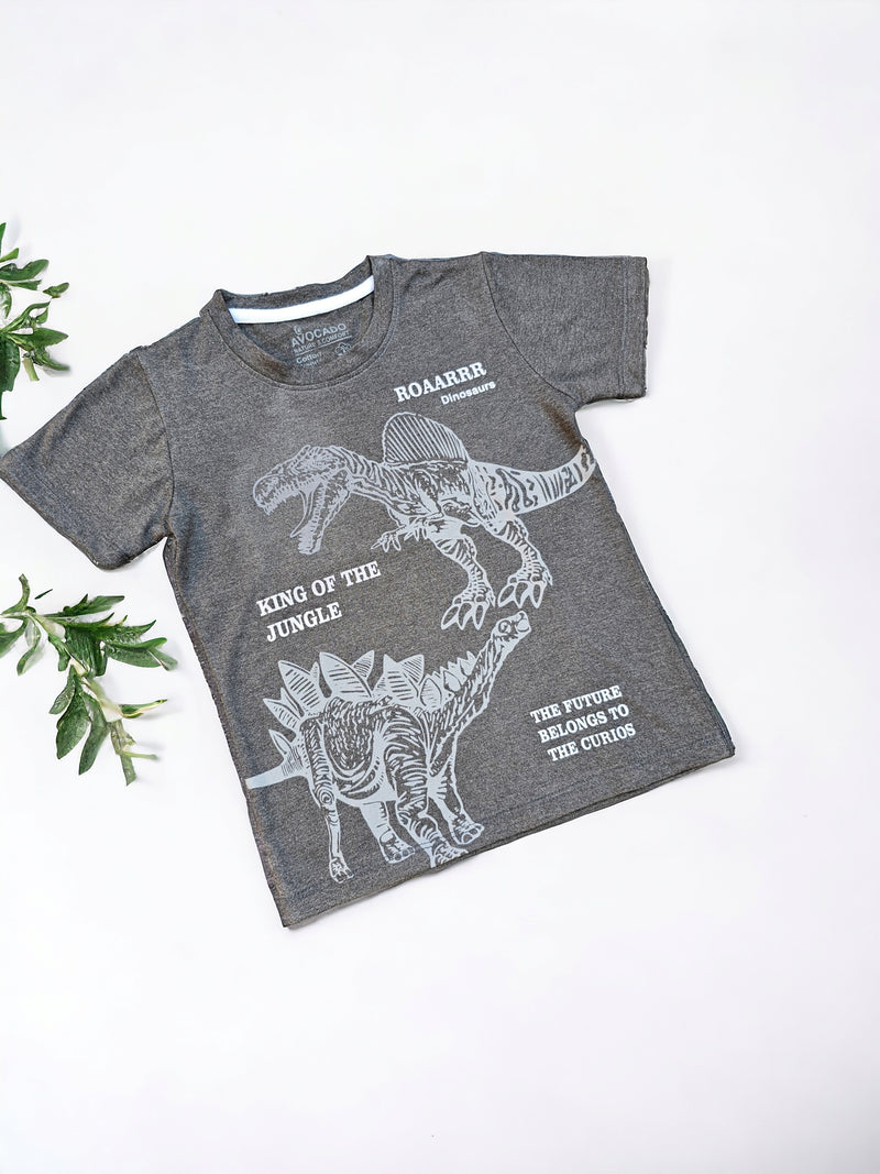Roaarrr Dinosaurs Charcoal Tee