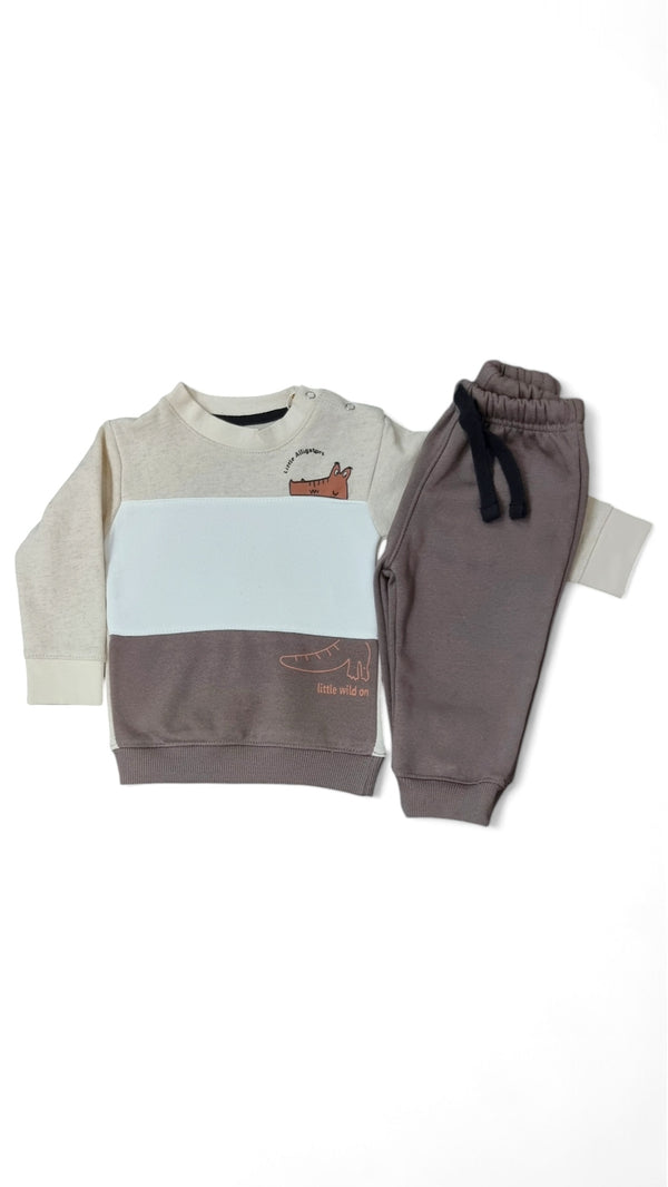 Little Alligators Themed Cotton Fleece Sweatshirt & Trouser