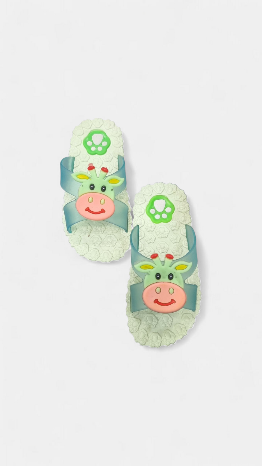 Moun Parrot Slippers