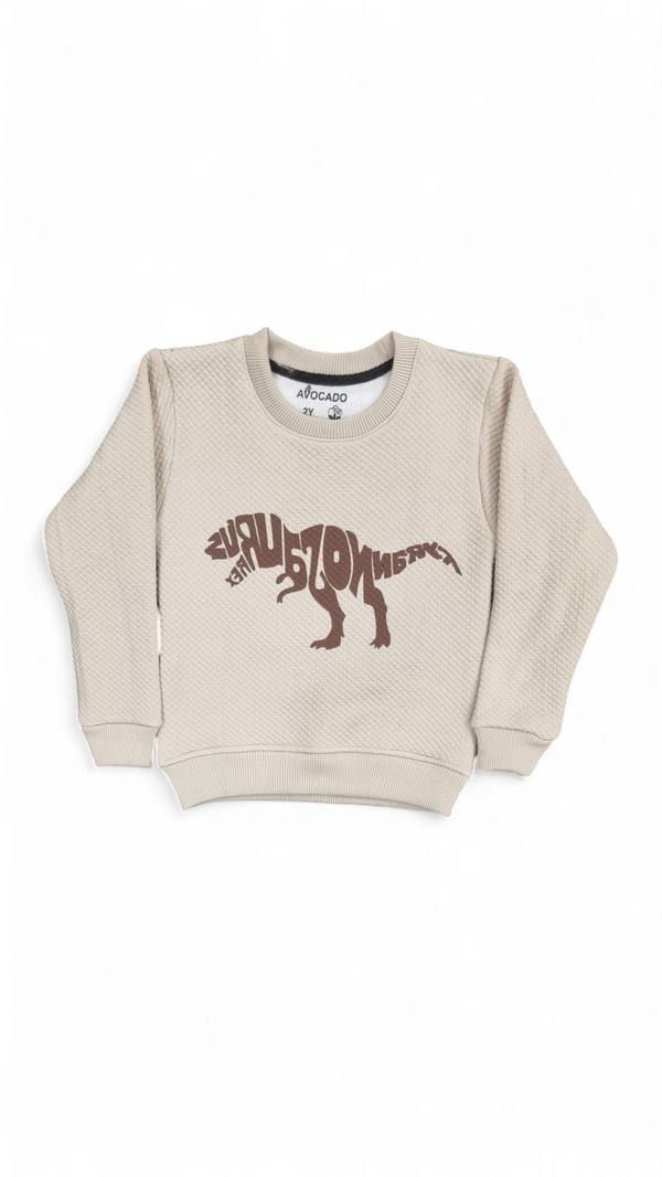 Skin Dino Graphic Embossed Fleece Sweatshirt