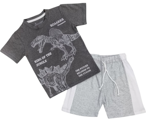 Roaarr Dinosaurs Charcoal Tee & Grey/White Panel Terry Short