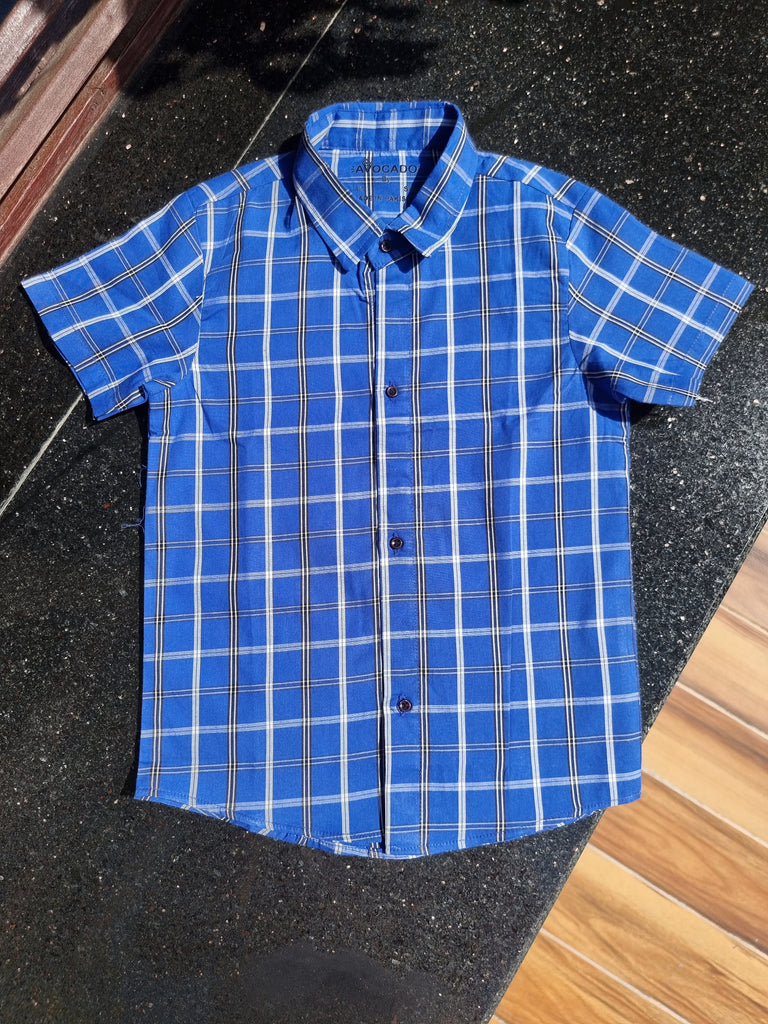 Blue/White lines Check Shirt